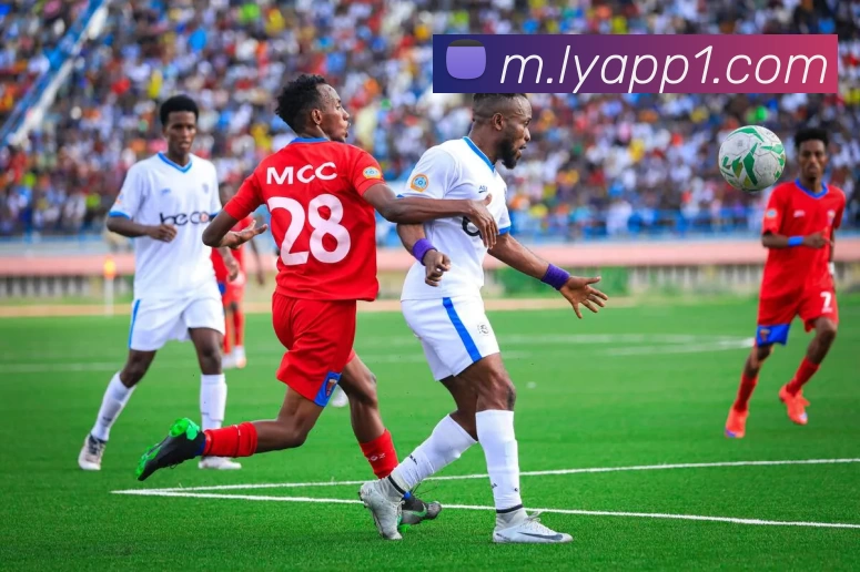 乐鱼app品牌故事