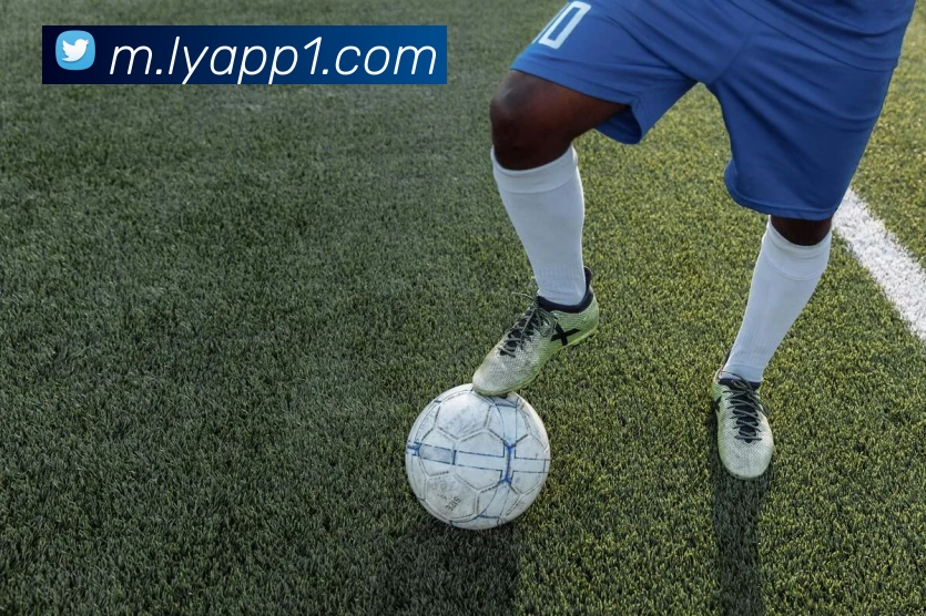 乐鱼app服务体系